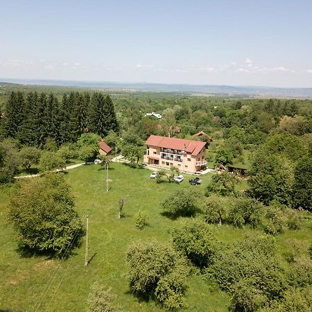 Pensiunea Elena Vistisoara Bagian luar foto