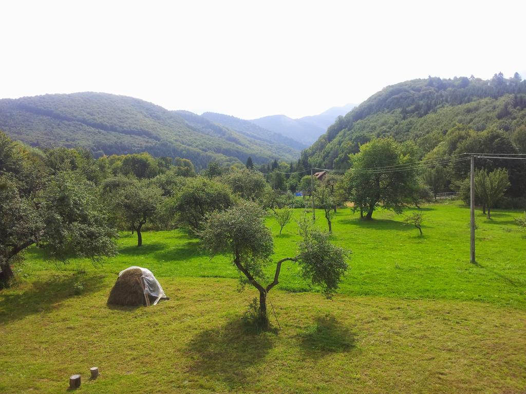 Pensiunea Elena Vistisoara Ruang foto