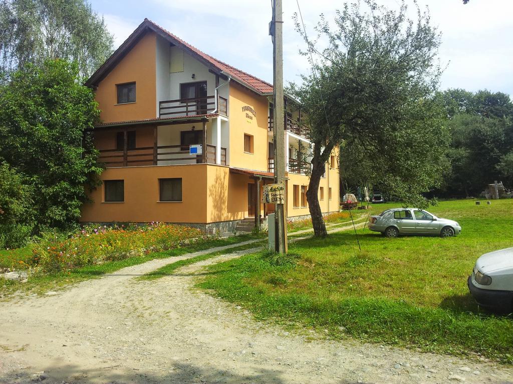 Pensiunea Elena Vistisoara Ruang foto