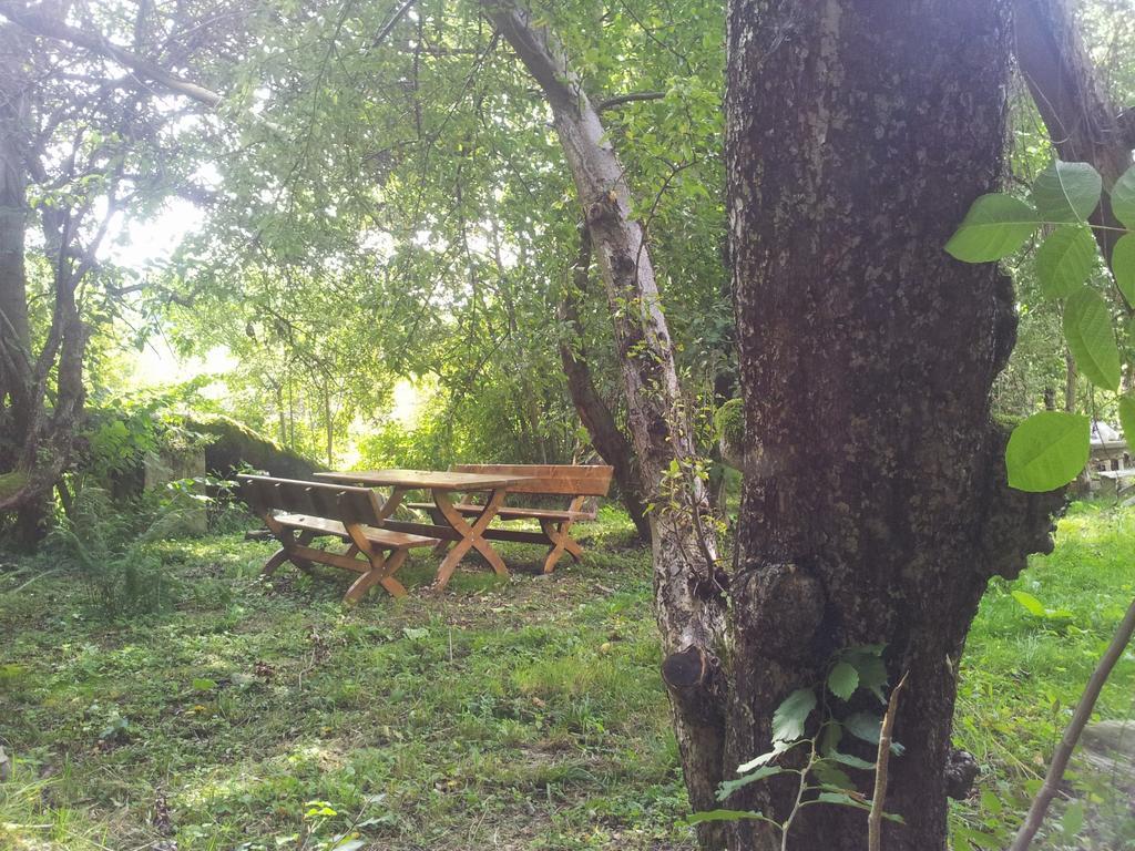 Pensiunea Elena Vistisoara Ruang foto
