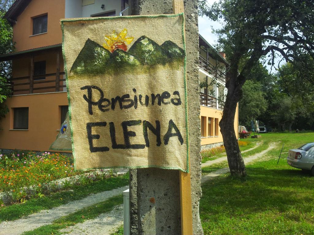 Pensiunea Elena Vistisoara Ruang foto