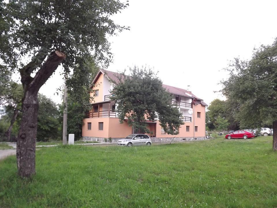 Pensiunea Elena Vistisoara Bagian luar foto