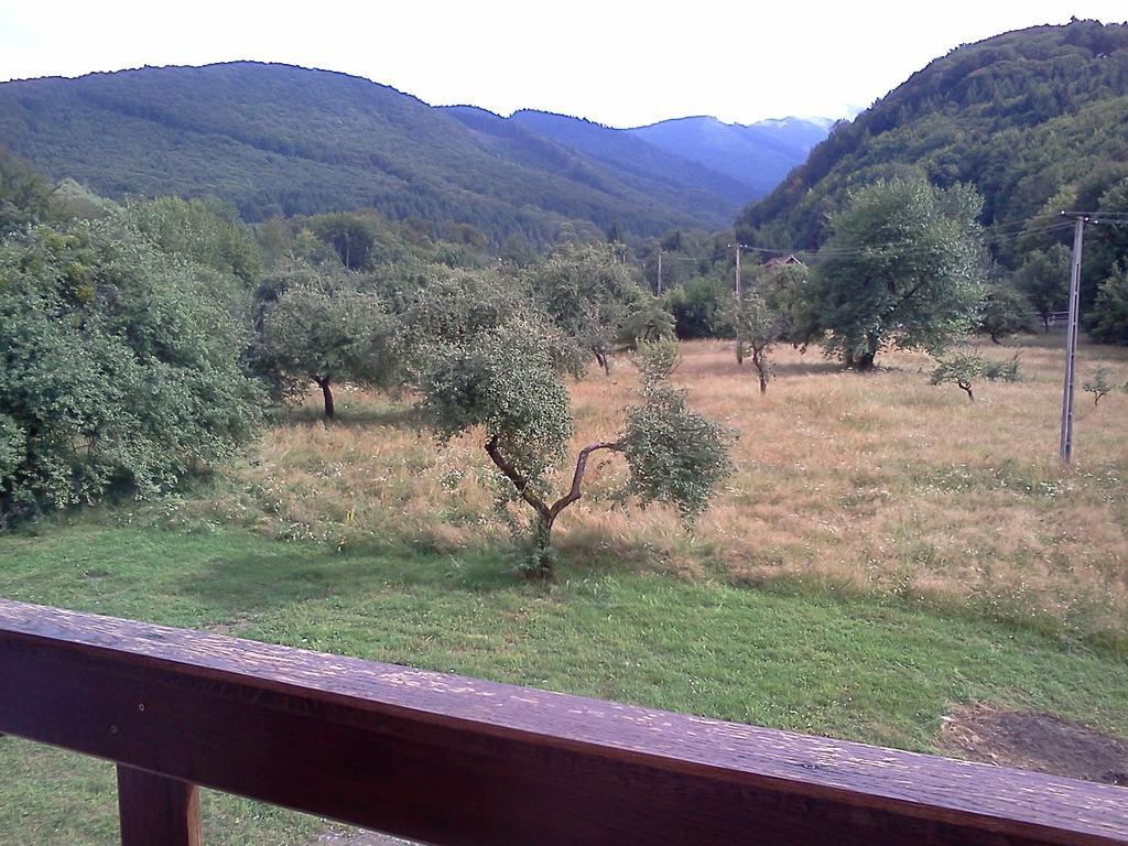 Pensiunea Elena Vistisoara Bagian luar foto