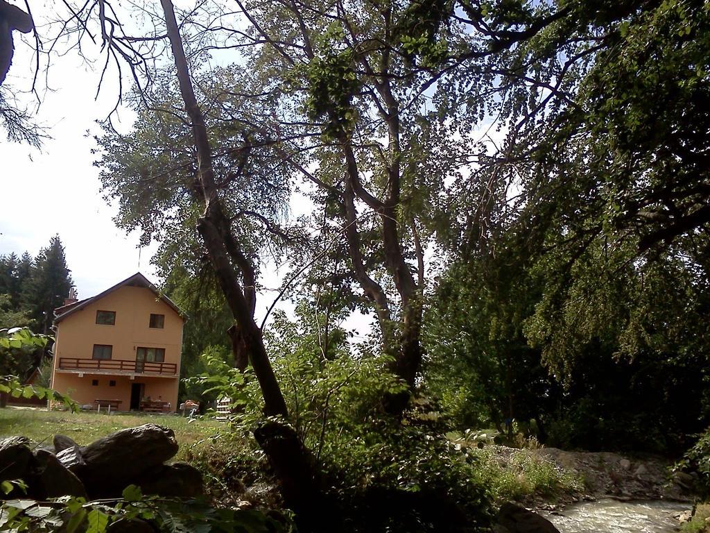 Pensiunea Elena Vistisoara Bagian luar foto