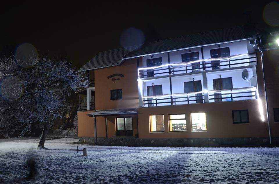 Pensiunea Elena Vistisoara Bagian luar foto