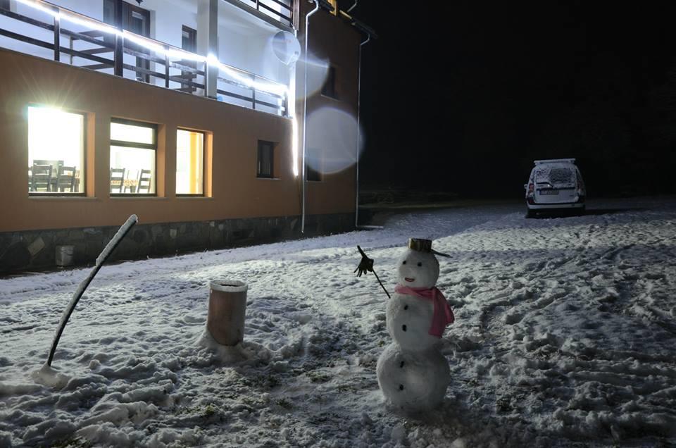 Pensiunea Elena Vistisoara Bagian luar foto