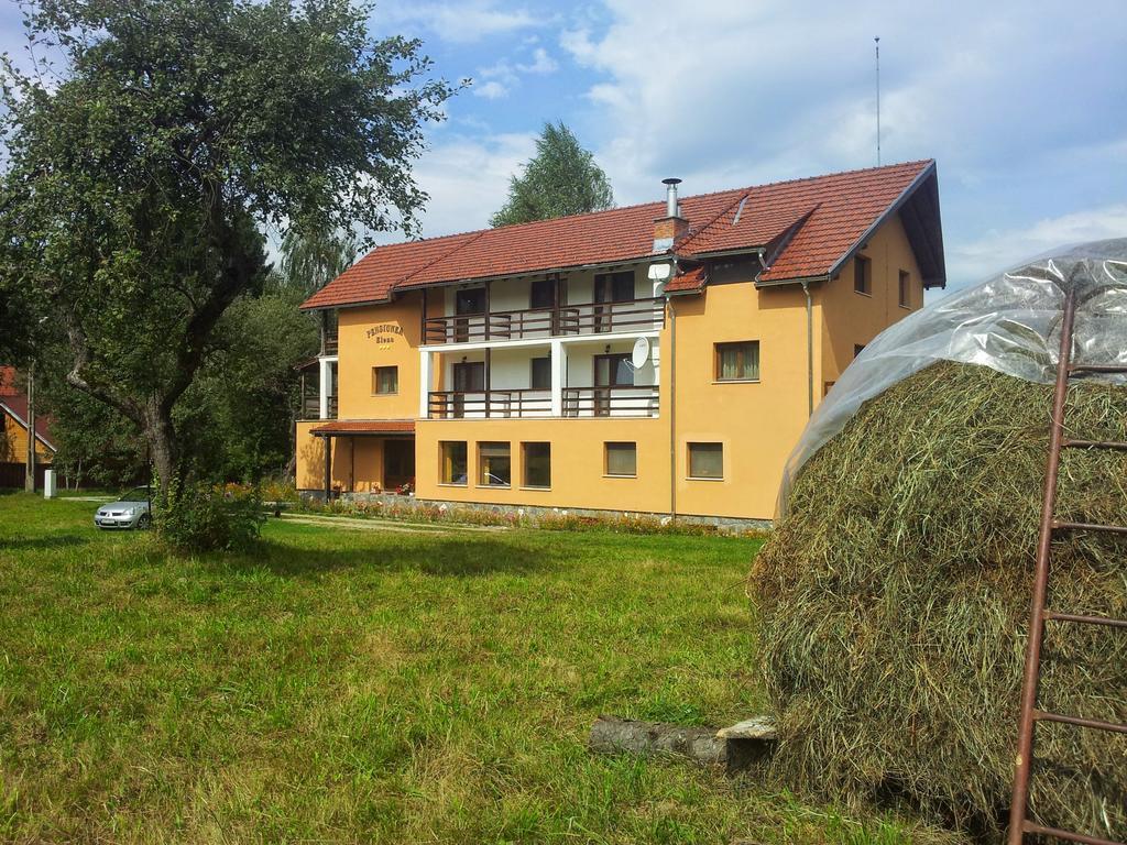 Pensiunea Elena Vistisoara Bagian luar foto