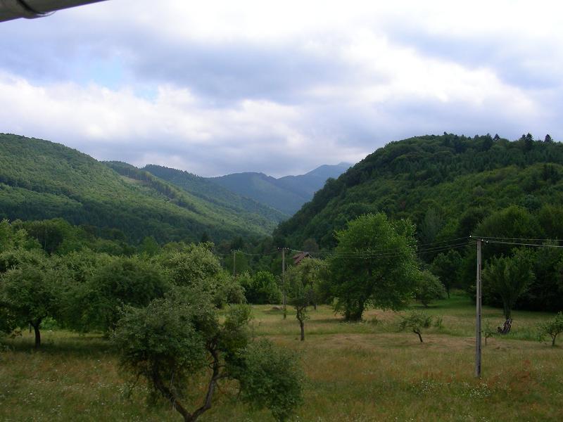 Pensiunea Elena Vistisoara Bagian luar foto