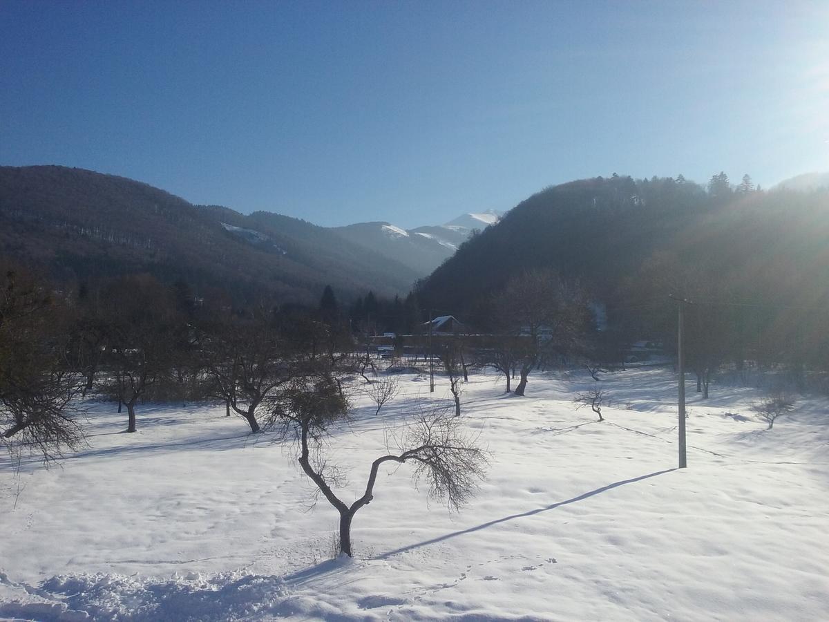 Pensiunea Elena Vistisoara Bagian luar foto