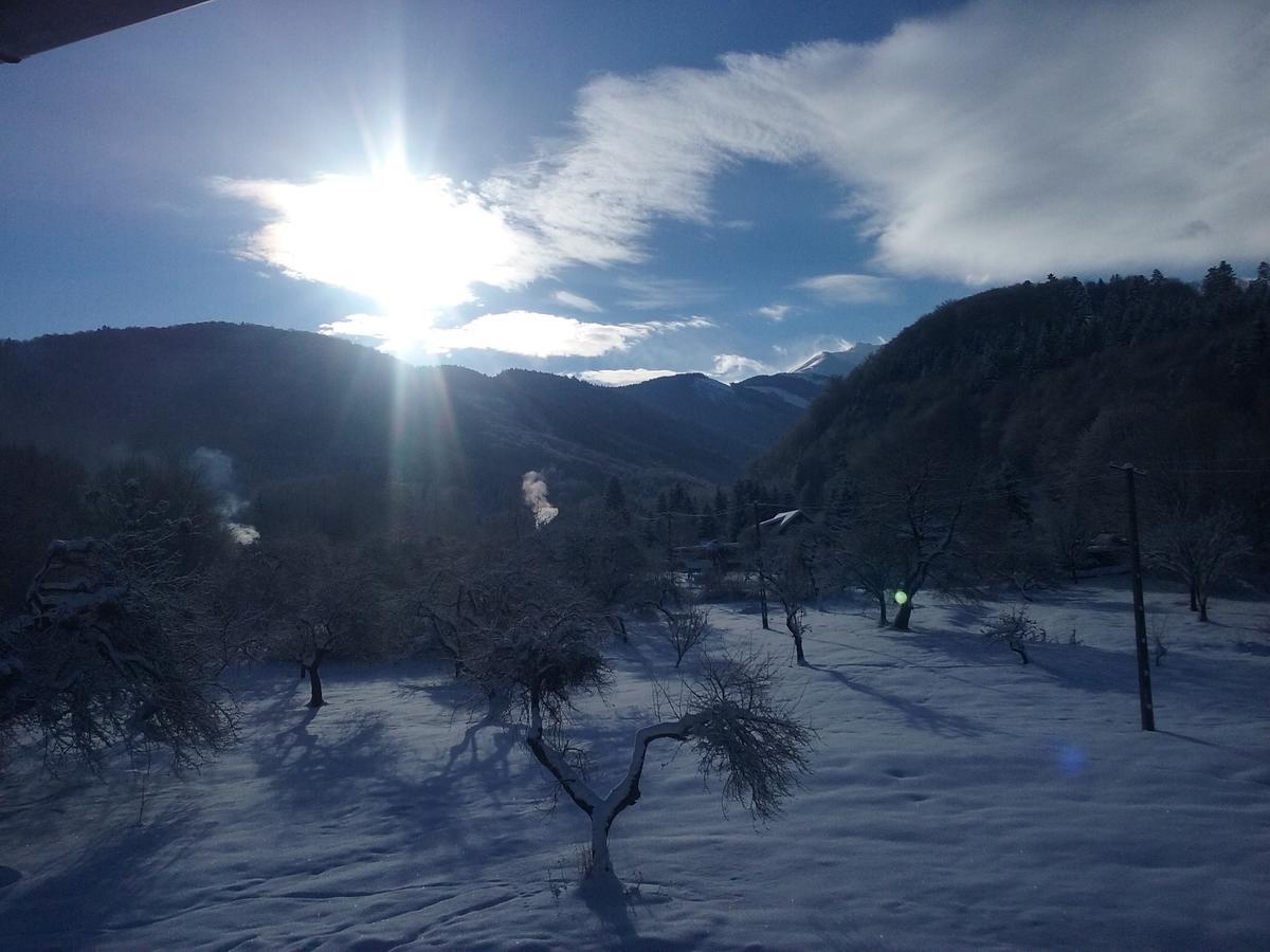Pensiunea Elena Vistisoara Bagian luar foto