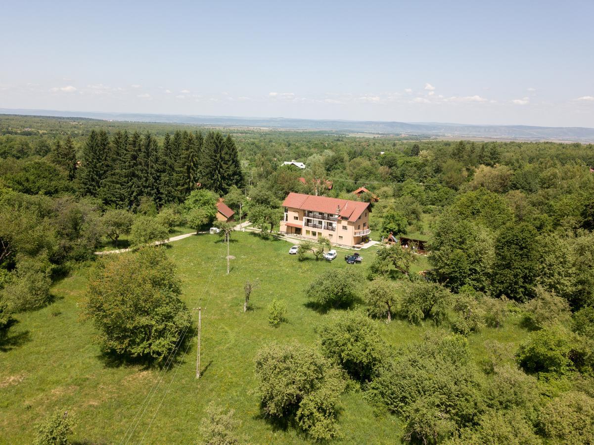 Pensiunea Elena Vistisoara Bagian luar foto