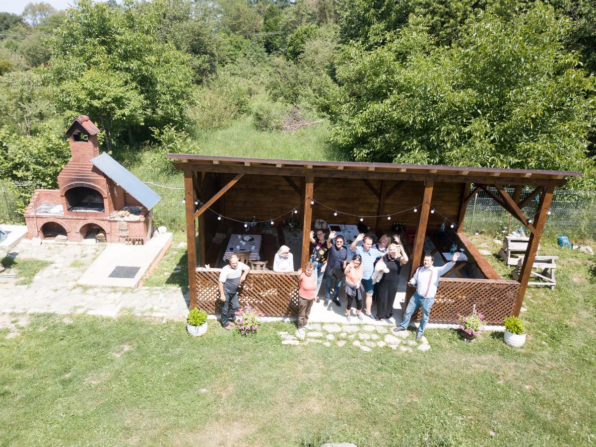 Pensiunea Elena Vistisoara Bagian luar foto