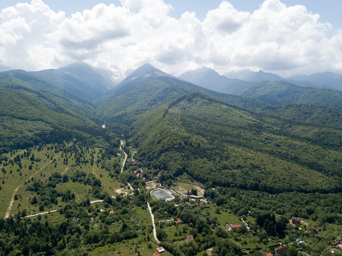 Pensiunea Elena Vistisoara Bagian luar foto