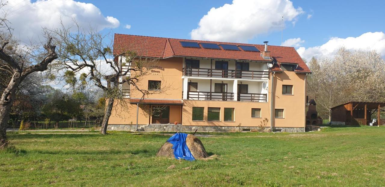 Pensiunea Elena Vistisoara Bagian luar foto