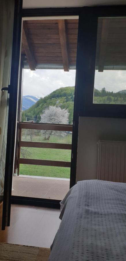 Pensiunea Elena Vistisoara Bagian luar foto
